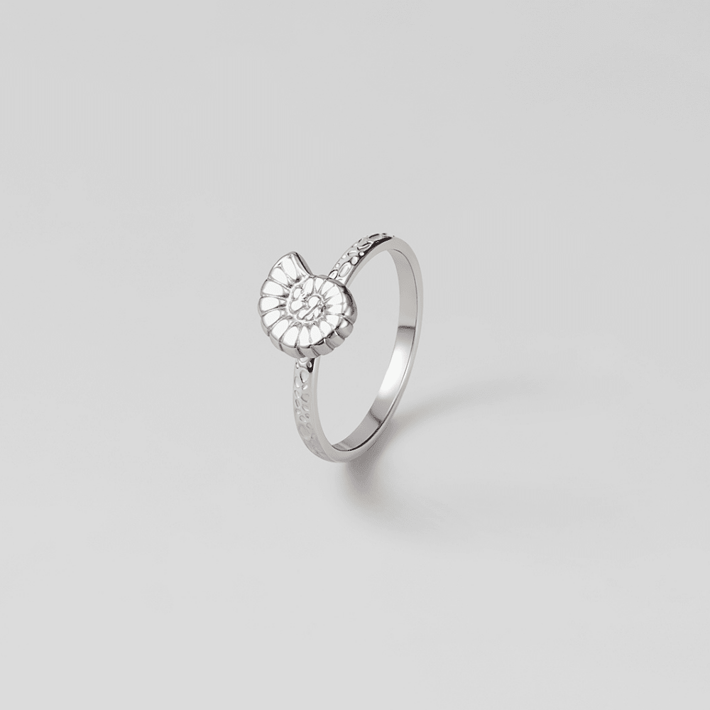 Silver Spiral Shell Ring, silver ring with a spiral shell head on a grey background